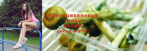 сатива Ладушкин