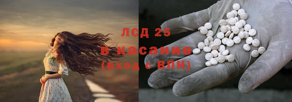 сатива Ладушкин