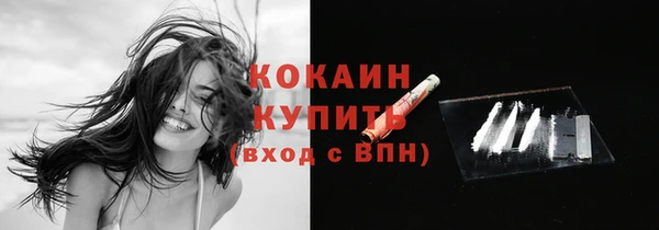 молекула духа Лагань