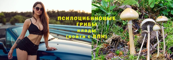 сатива Ладушкин