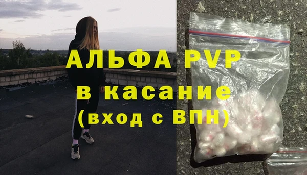 сатива Ладушкин