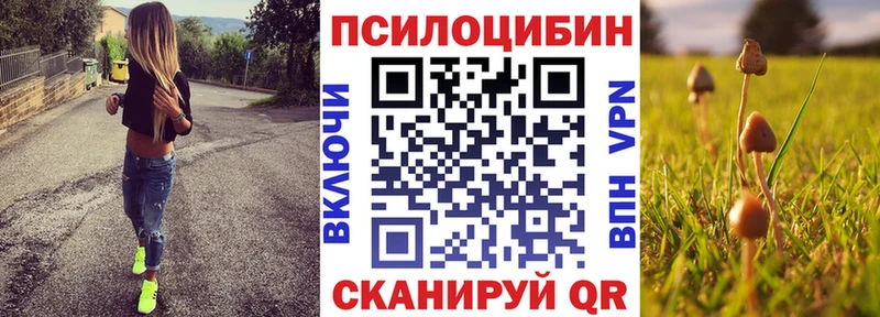 omg маркетплейс  Солигалич  Галлюциногенные грибы GOLDEN TEACHER 