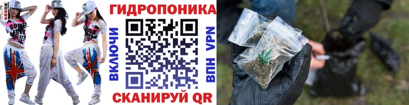 Шишки марихуана планчик  купить  цена  ОМГ ОМГ ссылки  Солигалич 